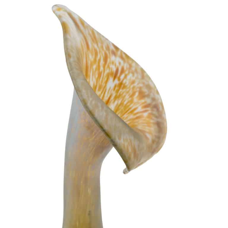 Jack-in-the-pulpit vase Johann Loetz Witwe decor Candia Medici ca. 1902